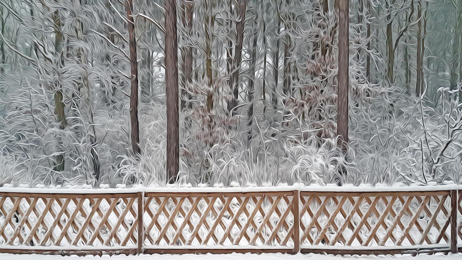 Foto vergrößern in neuem Fenster